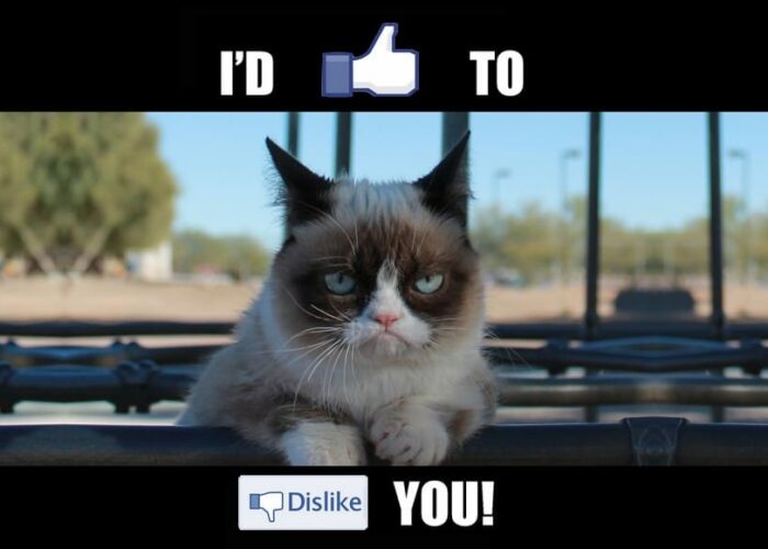 Grumpy Cat n'est pas content sur Facebook